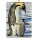 KXMDXA Penguin Winter Snow Clipboard Hardboard Wood Nursing Clip Board and Pull for Standard A4 Letter 13x9 inches