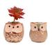 6pcs/set Mini Ceramic Owl Succulent Plants Bonsai Pots Flower Home Desk Decor Mini Owl Succulent Plants Bonsai Pots 6pcs/set Mini Ceramic Owl Flower Pots Home Office Desk Decor For Home Office Desk