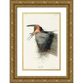 Audubon John James 17x24 Gold Ornate Wood Framed with Double Matting Museum Art Print Titled - Barn Swallow