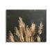 Stupell Industries Moonlit Pampas Grass Rural Reeds Plant Botanicals Photograph Gallery Wrapped Canvas Print Wall Art Design by Gail Peck