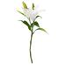 Dtydtpe Christmas Decorations Artificial Decorative Flower Single 3 Heads Home Decor ation Artificial Flower Peace Lily