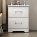 GALANO Darsh 2-Drawer Bedside Table Cabinet Nightstand w/Drawers Storage