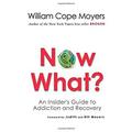 Now What? : An Insider s Guide to Addiction and Recovery 9781616494193 Used / Pre-owned