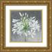 Purinton Julia 20x20 Gold Ornate Wood Framed with Double Matting Museum Art Print Titled - Cleome Splash I