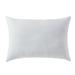My Texas House 14 x 20 Microfiber Decorative Pillow Insert