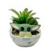 Star Wars Baby Yoda Ceramic Planter with Faux Succulents Houseplant 4 Inches
