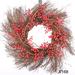 The Holiday Aisle® 24" Winter Christmas Front Door Sunburst Wreath, Waterproof Red Berry Grapevine Wreath /Twig in Brown/Red | Wayfair
