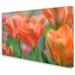 Latitude Run® Tulip Flower, 30X47-Inch Canvas Wall Art Canvas in Green/Orange | 30 H x 47 W in | Wayfair E50511559FEF4705BAB71479FD6C96A9