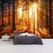 Tiptophomedecor Peel and Stick Forest Wallpaper Wall Mural - Trees In Evening Sun - Removable Wall Decals