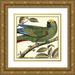 Martinet 20x20 Gold Ornate Wood Framed with Double Matting Museum Art Print Titled - Tropical Parrot I