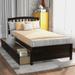 Contemporary Elegant Design Twin Platform Storage Bed Wood Bed Frame with Two Drawers and Headboard Suitable for Bedroom