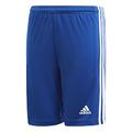 adidas Jungen Squad 21 Y Shorts, Team Royal Blue/White, 5 Jahre EU