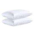 Premium Hotel Quality Pillows, Luxury Down Alternative White Microfiber Pillows, Hypo-Allergenic, 100% Cotton with Elegant Designed by DUCK & GOOSE (48x74 cm-19 * 29 inch, Pack of 2pcs)