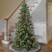 The Holiday Aisle® Regular Realistic Artificial PVC & PE Blend Pine Cashmere Christmas Tree & Berries in Green | 48 W in | Wayfair