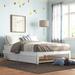 Lark Manor™ Aayanna Solid Wood Sturdy Platform Bed w/ Guest Trundle Wood in White | 53.5 W in | Wayfair AB8442C3FDF046E994CB2238E26806E7