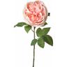 Set 6 Rose Artificiali Cabbage Altezza 49 cm Rosa