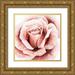 Popp Grace 20x20 Gold Ornate Wood Framed with Double Matting Museum Art Print Titled - Pink Rose II