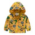 Fesfesfes Toddler Boys and Girls Jacket Printed Hoodie Jacket Lightweight Thin Jacket Outerwear Windproof Jacket Clearance