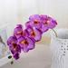 28 Inch Artificial Phalaenopsis Flowers Branches Real Touch (Not Silk) Orchids Flowers for Home Office Wedding Decoration