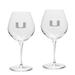 Miami Hurricanes Primary Team Logo 22oz. 2-Piece Luigi Bormioli Titanium Robusto Wine Glass Set