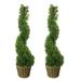 Admired by Nature 3 Artificial Boxwood Leave Topiary in Basket Set of 2