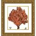 Vision Studio 20x22 Gold Ornate Wood Framed with Double Matting Museum Art Print Titled - Red Coral IV