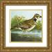 Unknown 20x20 Gold Ornate Wood Framed with Double Matting Museum Art Print Titled - Mini Vintage Birds III