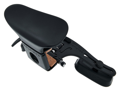 Dolfinos Carbon + Edition Viola T/H