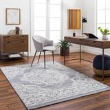 Denae 6' x 9' Traditional Light Gray/Dark Gray/Nickel/Smoke/Gray/White Area Rug - Hauteloom