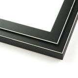 14x17 - 14 x 17 Black and White Pinstripe Solid Wood Frame with UV Framer s Acrylic & Foam Board