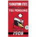 Youngstown State Penguins 11" x 20" Indoor/Outdoor Home Of The Sign