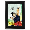 HWC Trading A3 FR Dragonball Z Sean Schemmel Gifts Printed Signed Autograph Picture for TV Memorabilia Fans - A3 Framed