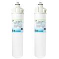 Swift Green Filters SGF-96-49 CTO Compatible Commercial Water Filter for EV9618-11 EV9618-16 Made in USA (Pack of 2)