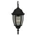 Craftmade Bent Glass Z261 Outdoor Pendant Light