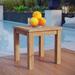 Pocasset Outdoor Teak Side Table by Havenside Home