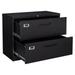 STANI 2 Drawer Lateral File Cabinet with Lock Black Lateral Filing Cabinet for Legal/Letter A4 Size Locking Wide File Cabinet for Home Office Metal