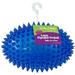 Gnawsomeâ„¢ 4.5â€� Spiky Squeaker Football Dog Toy - Large Cleans Teeth and Promotes Good Dental and Gum Health for Your Pet Colors Will Vary