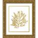 Wild Apple Portfolio 15x18 Gold Ornate Wood Framed with Double Matting Museum Art Print Titled - Pacific Sea Mosses I Gold