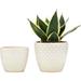 Ceramic Flower Pots - 6.5 and 5.5 Inch Planter Pot with Drainage Holes for Succulent Flower and Plant Gardening Decoration Gift Indoor or Outdoor Set of 2 White