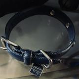 Coach Dog | Coach Dog Collar | Color: Blue | Size: Sm