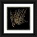 Wilson Aimee 15x15 Black Ornate Wood Framed with Double Matting Museum Art Print Titled - Gold Coral I