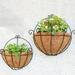 Dengjunhu 2Pcs/Set Half Round Replacement Coco Liner for Hanging Basket Wall Flower Basket Half Circle Wall Planter Coconut Fiber Plant Basket Liner for Garden Planter Flower Pot