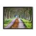 Stupell Industries Aligned Trees Along Orchard Path Nature Tunnel Photograph Black Framed Art Print Wall Art Design by James Dobson