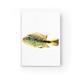 Marick Booster Fish Notebook | 7.24 H x 0.63 W x 0.63 D in | Wayfair 3509348731