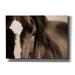 Union Rustic Dark Eyes by Lisa Dearing - Wrapped Canvas Photograph Canvas in Black/Brown/White | 18 H x 26 W x 0.75 D in | Wayfair