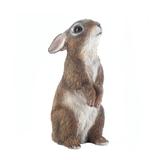 Standing Bunny Statue by Zingz and Thingz in Multicolor