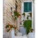 Latitude Run® Italy Puglia Brindisi Itria Valley Ostuni Potted Flowers Decorating The Entrance Of A Home In The Old Town Of Ostuni Poster Print By Julie Eggers Paper | Wayfair