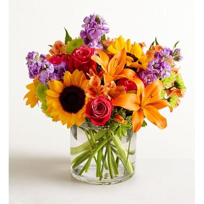 1-800-Flowers Flower Delivery Floral Embrace Large