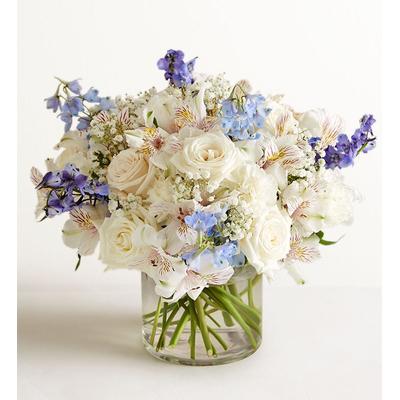 1-800-Flowers Everyday Gift Delivery Loving Sentiments Blue & White Xl