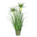 Vickerman 24 Artificial Potted Green Grass and Cyperus Heads.